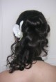 /album/galerie-de-photos-coiffures-et-styles/creations-beauty-n-diary-1-jpg/